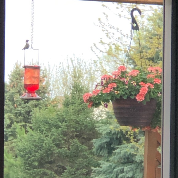 Meet your Posher, Sue ellen - Picture 1 of 1